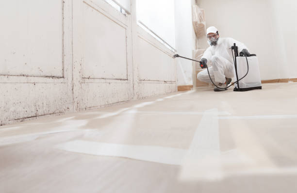 24/7 Emergency Attic Mold Remediation experts in Arcadia, FL